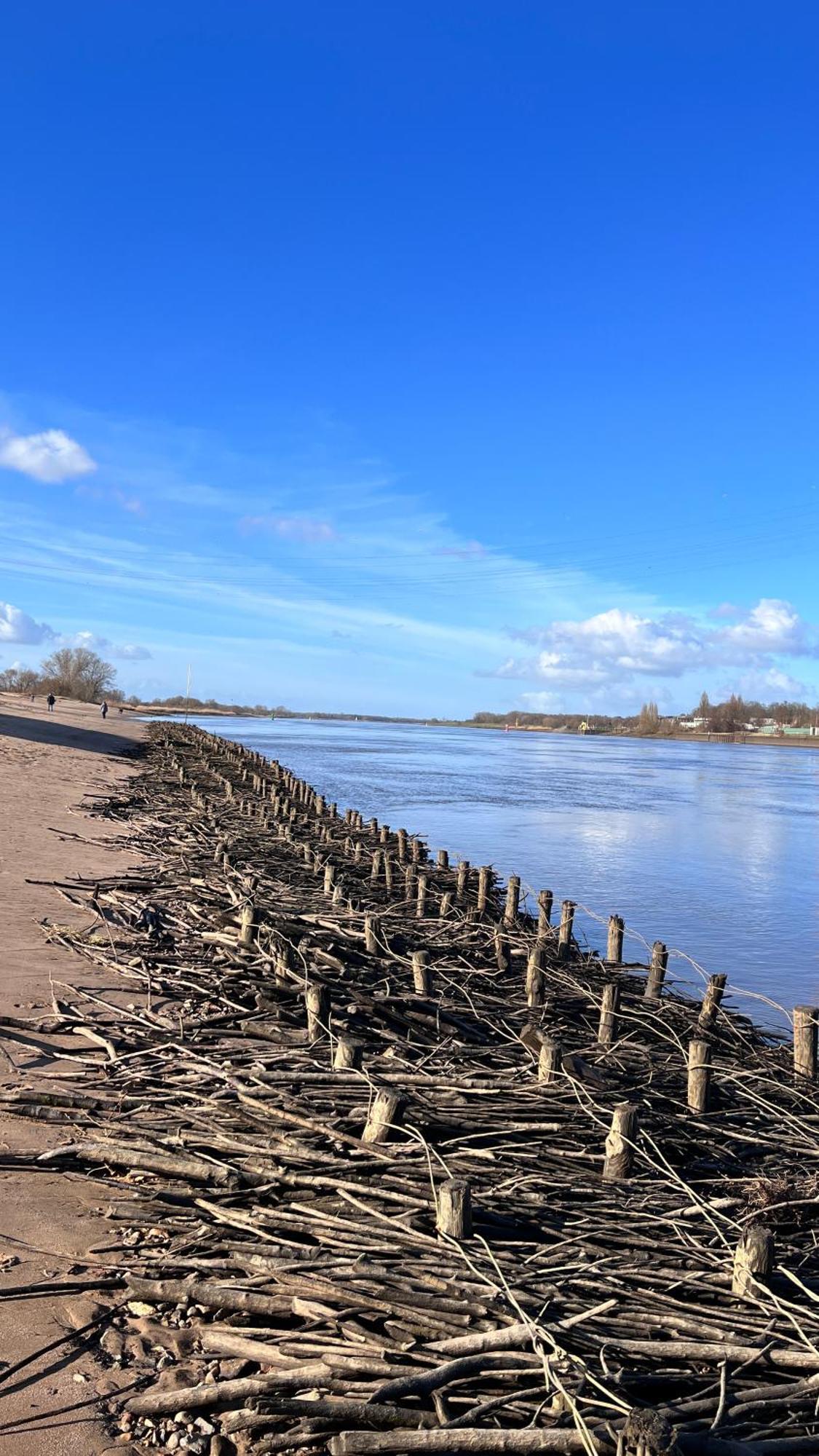 Gaestehaus Weserblick Am Weser-Sandstrand Berne Exteriör bild