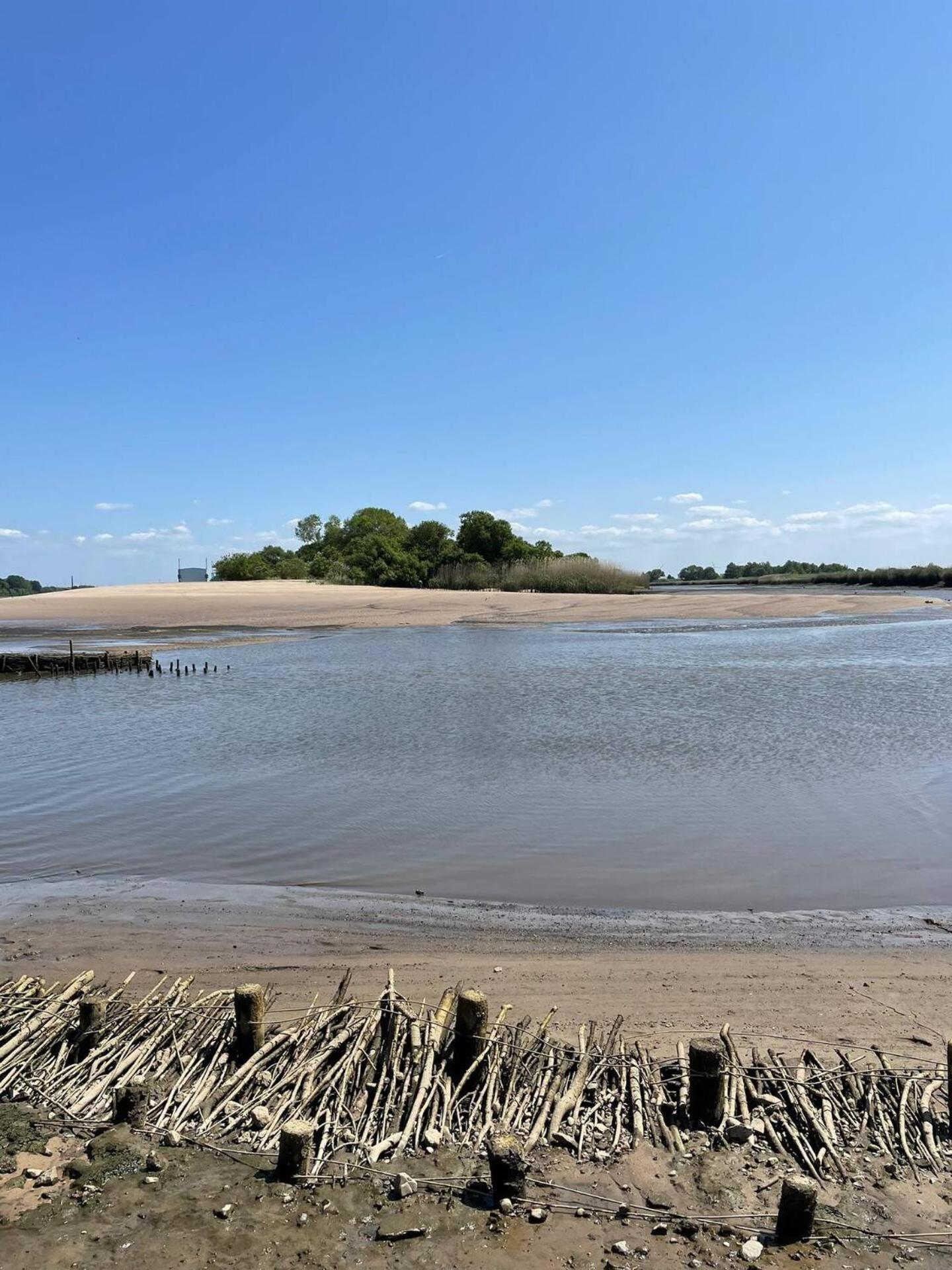 Gaestehaus Weserblick Am Weser-Sandstrand Berne Exteriör bild