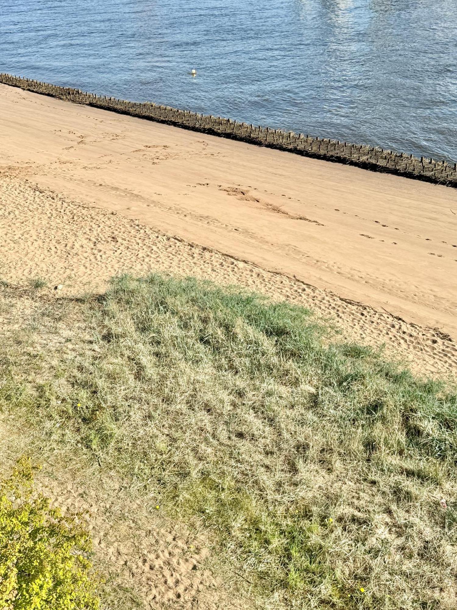 Gaestehaus Weserblick Am Weser-Sandstrand Berne Exteriör bild